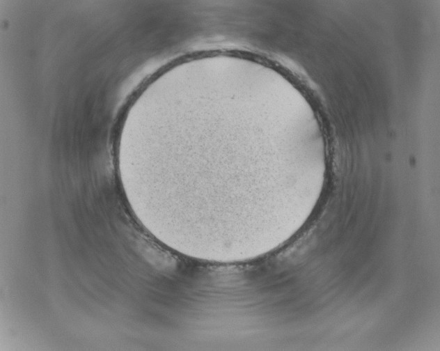 X0000077351167200611171851