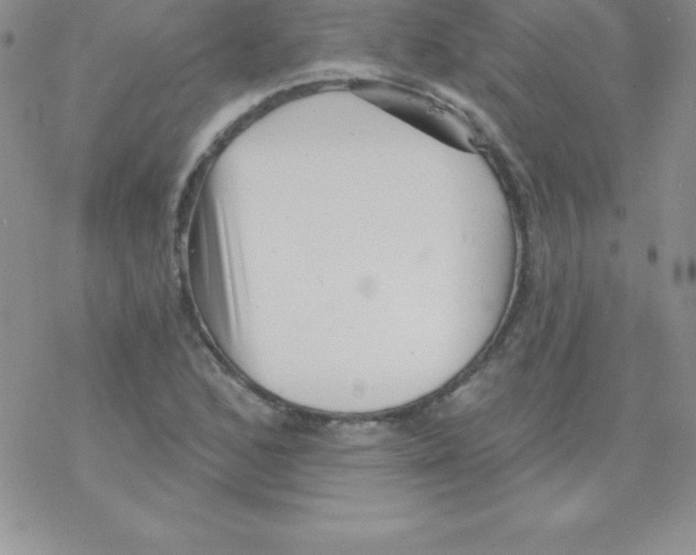 X0000077351168200611171851