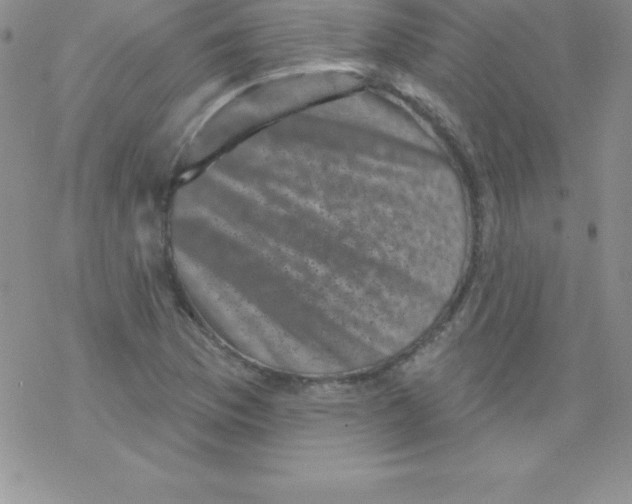 X0000077351169200611171851