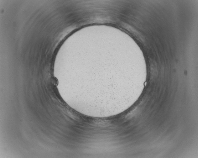 X0000077351170200611171851