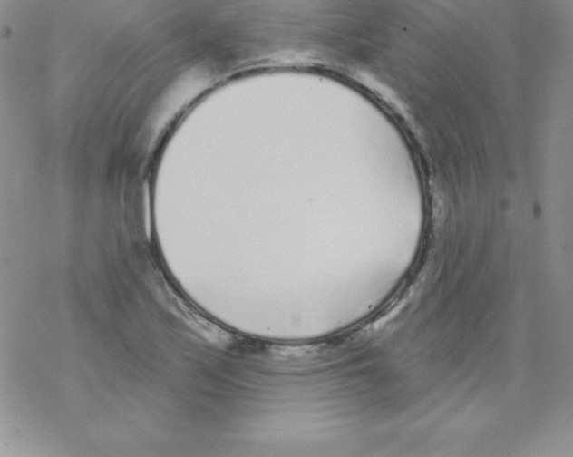 X0000077351171200611171851