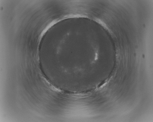 X0000077351173200611171851