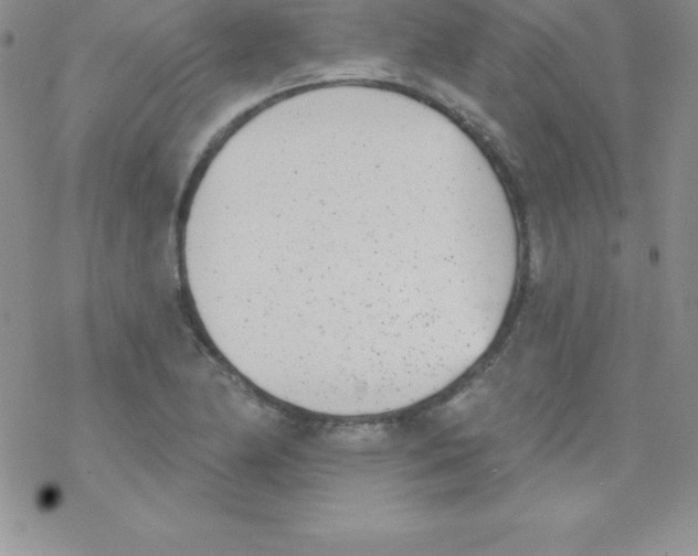 X0000077351174200611171851