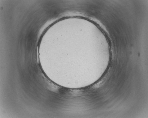 X0000077351175200611171851