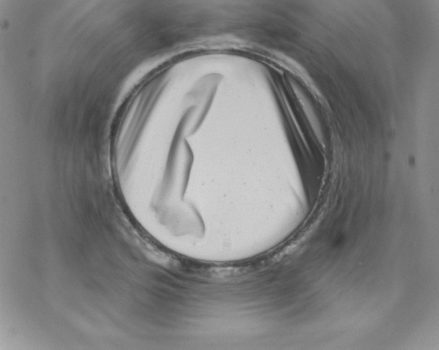 X0000077351176200611171851