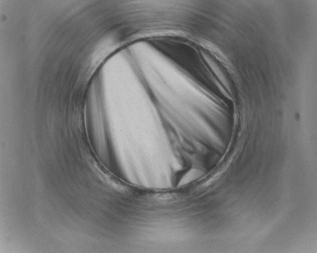 X0000077351177200611171850