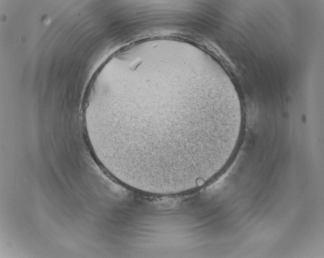 X0000077351178200611171850