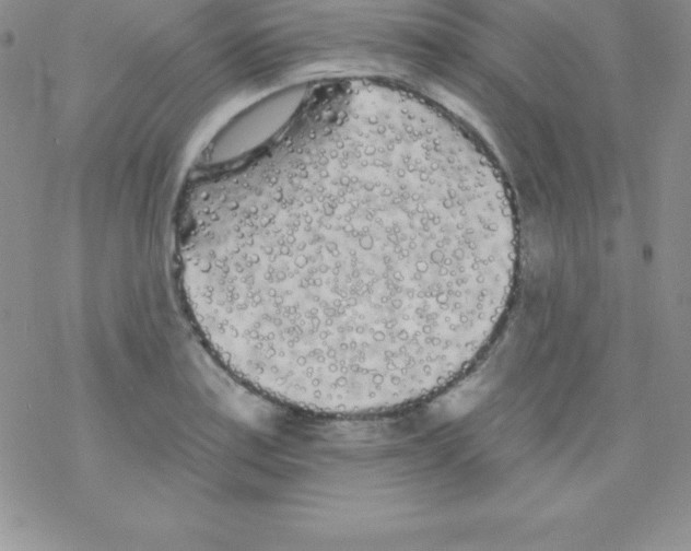 X0000077351179200611171850