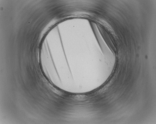 X0000077351180200611171850