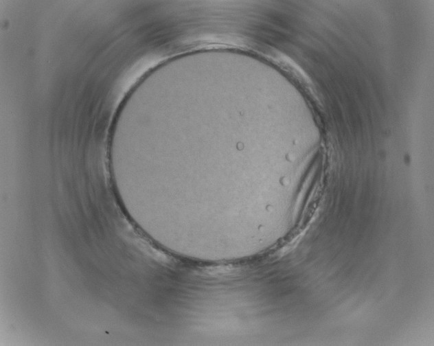 X0000077351182200611171850