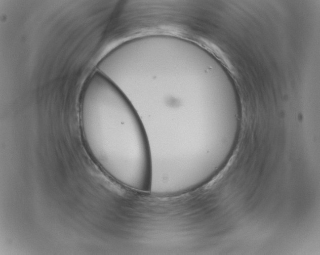 X0000077351184200611171850