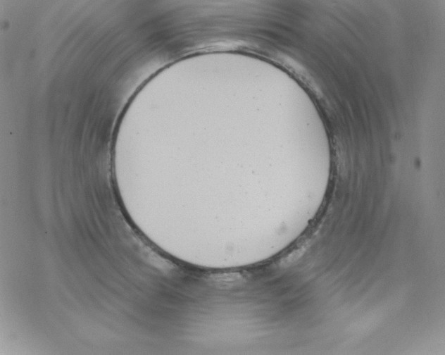 X0000077351186200611171850