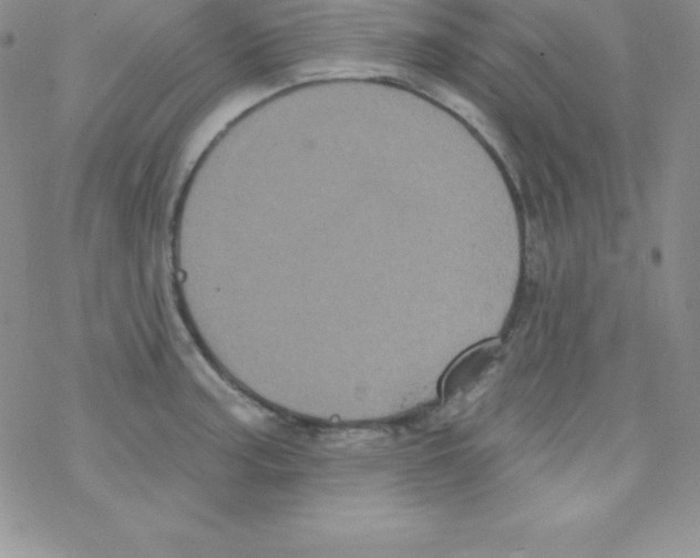 X0000077351187200611171850