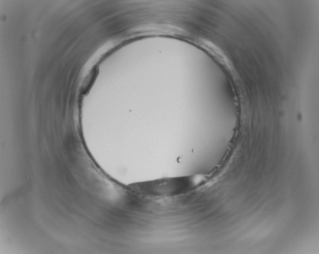 X0000077351188200611171850