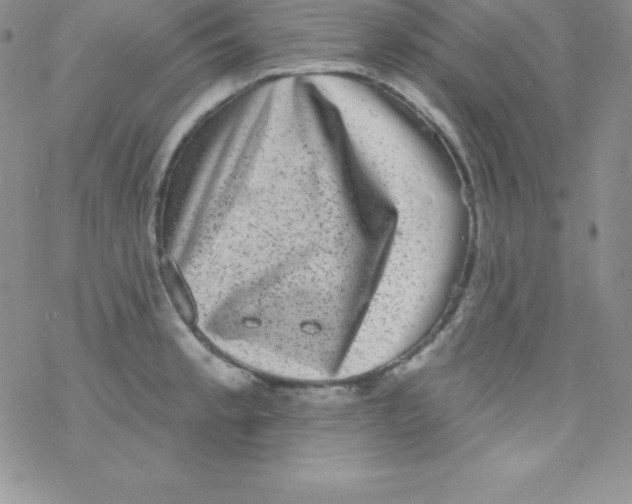 X0000077351189200611171850