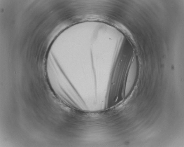 X0000077351190200611171850