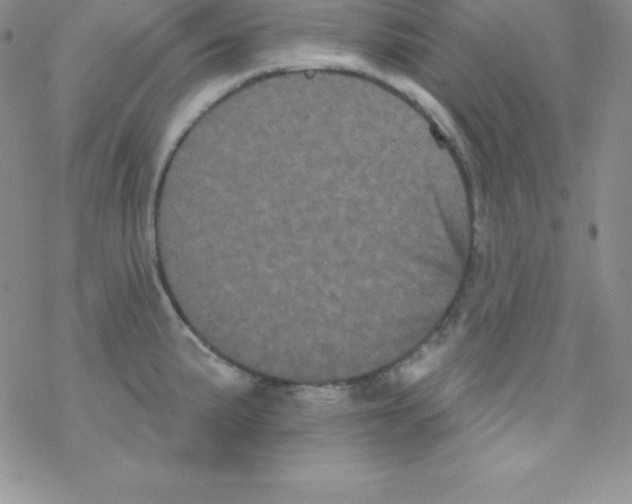 X0000077351191200611171850