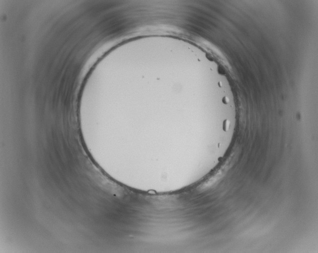 X0000077351192200611171850