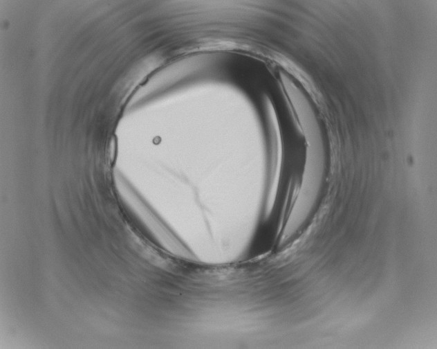 X0000077351193200611171850