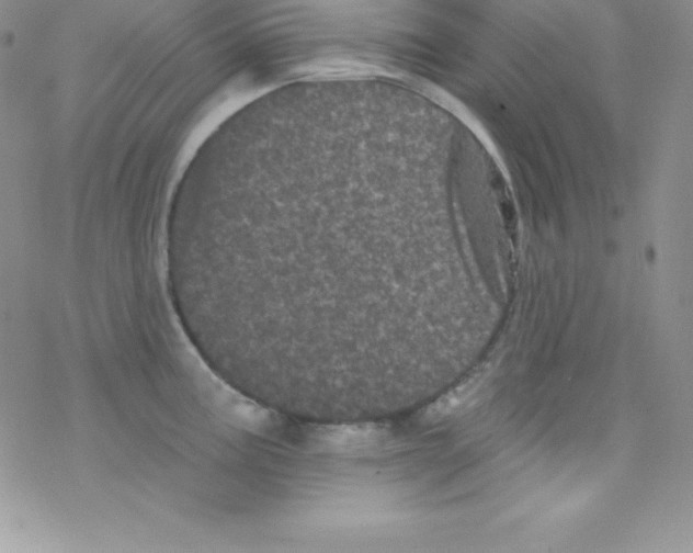 X0000077351195200611171850