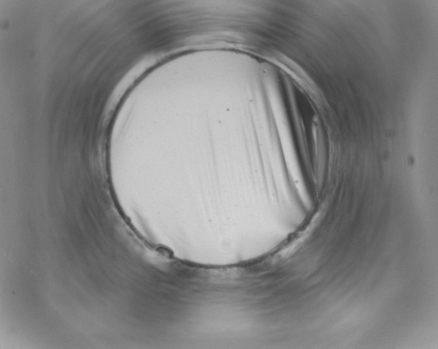 X0000077351196200611171850