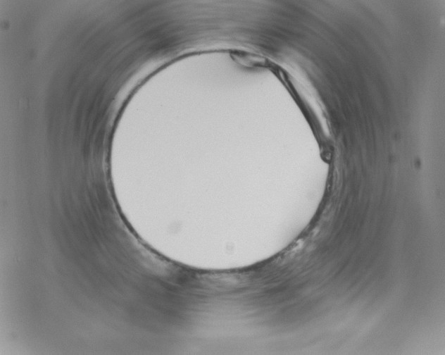 X0000077351197200611171850