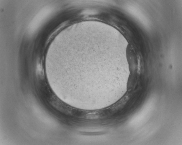 X0000077351198200611171850