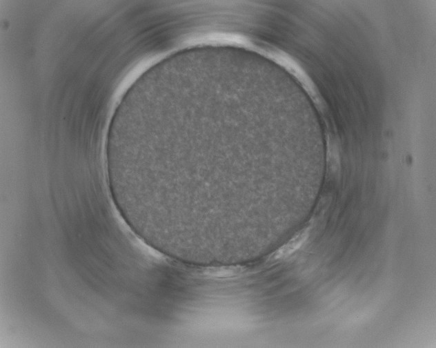 X0000077351199200611171850