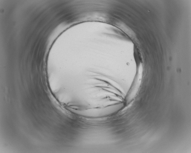 X0000077351200200611171850