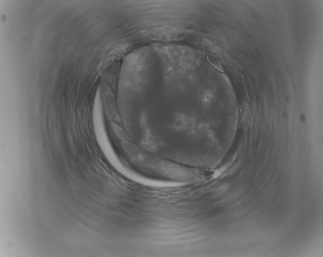 X0000077351202200611171849