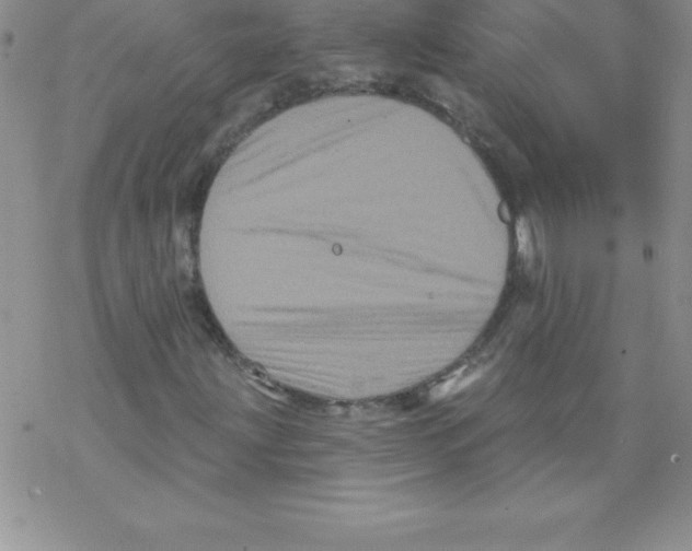 X0000077351203200611171849