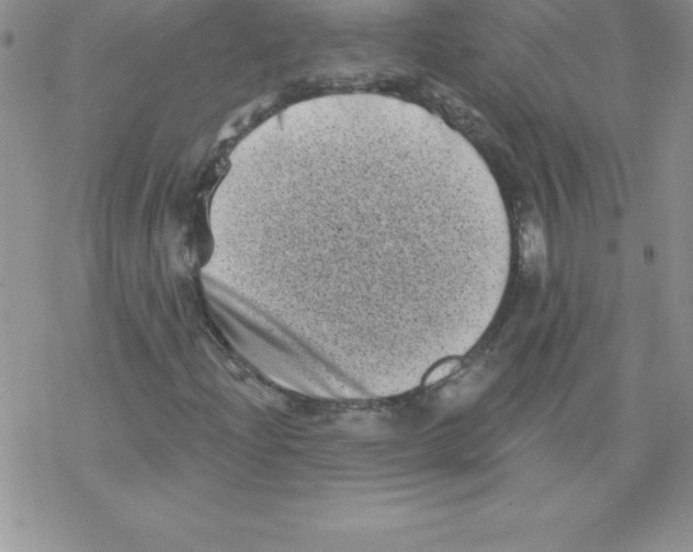 X0000077351204200611171849