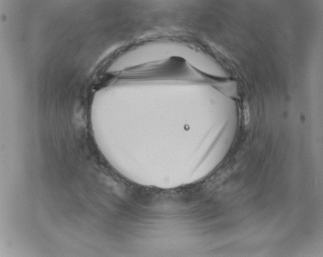 X0000077351206200611171849