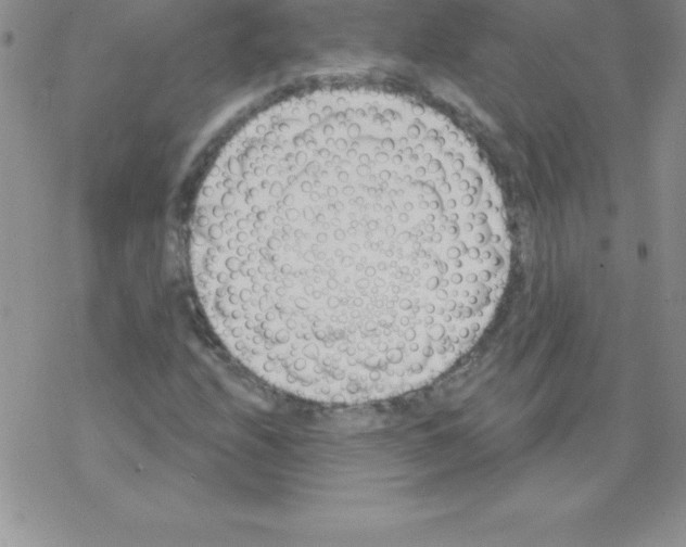 X0000077351208200611171849