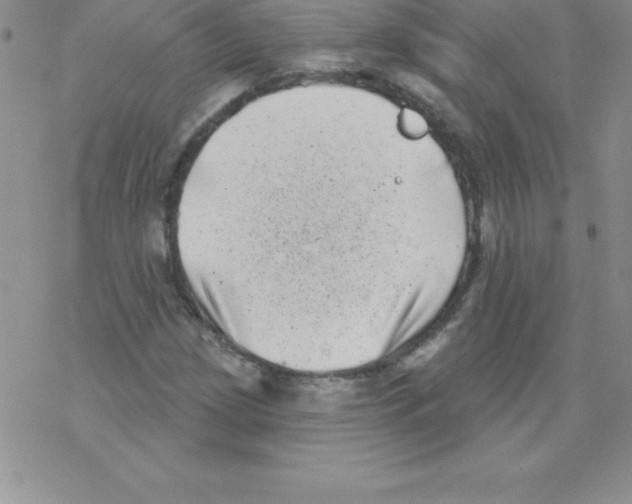 X0000077351209200611171849