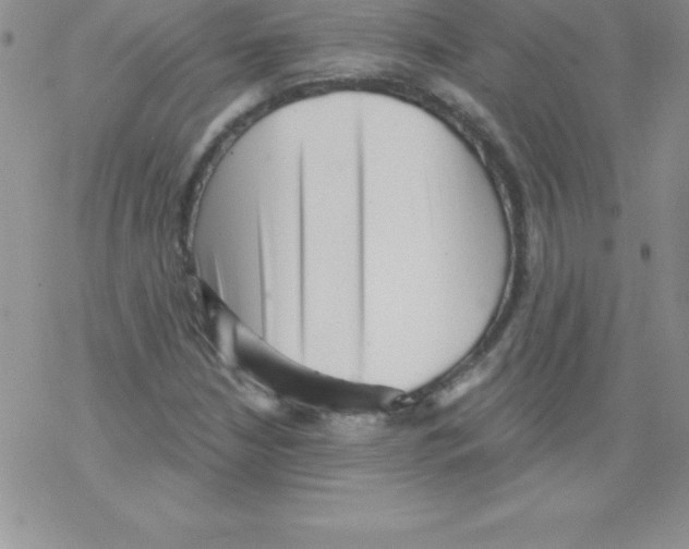 X0000077351210200611171849