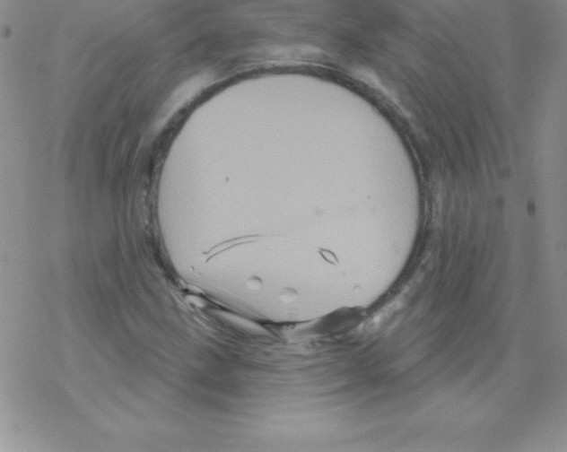 X0000077351211200611171849