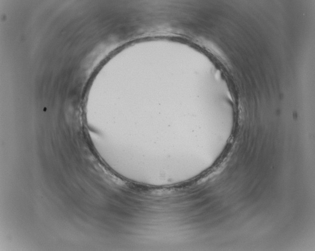 X0000077351212200611171850