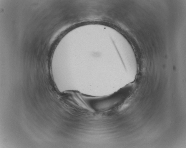 X0000077351214200611171850