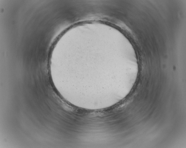 X0000077351216200611171850