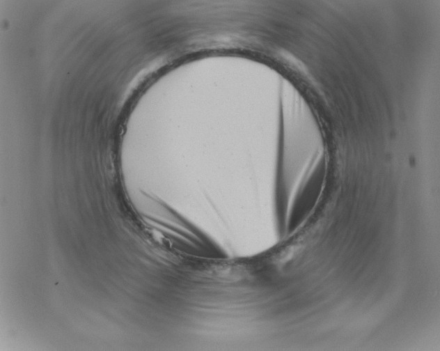 X0000077351218200611171850