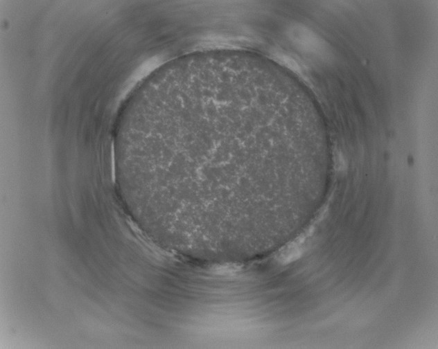 X0000077351219200611171850