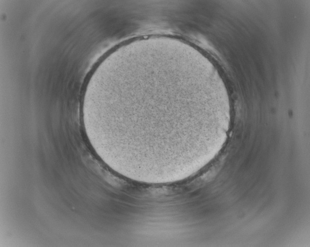 X0000077351220200611171850