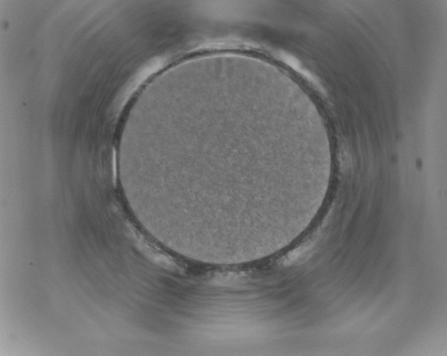 X0000077351221200611171850