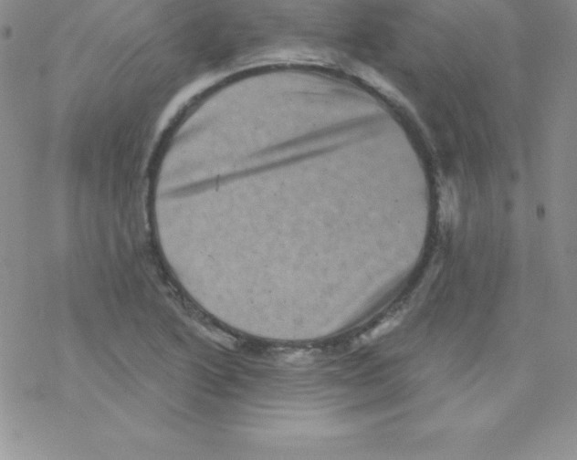 X0000077351222200611171850