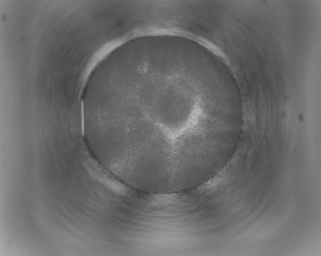 X0000077351223200611171850