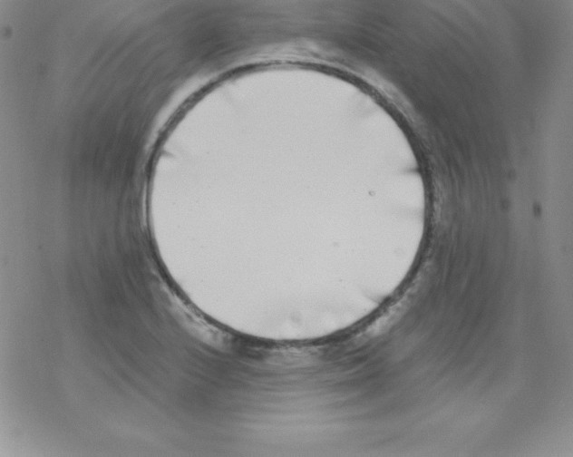 X0000077351224200611171850