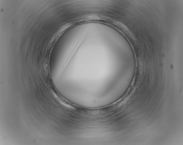 X0000077351225200611171850