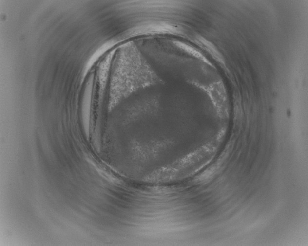 X0000077351226200611171850