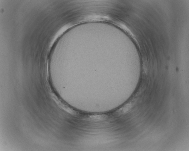 X0000077351227200611171850